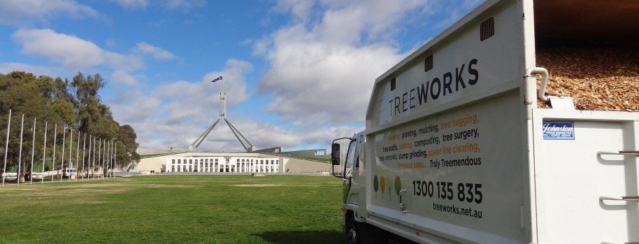 TreeWorks truck working near Parliament House