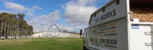 commercial tree removal at parliament house