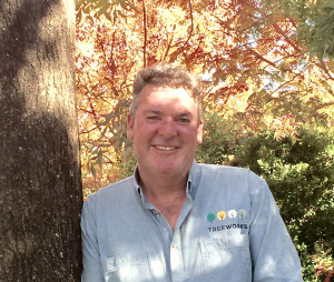 Professional Tree Assessment Arborist Steve Griffiths