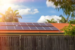 Ensure trees are trimmed away from solar panels